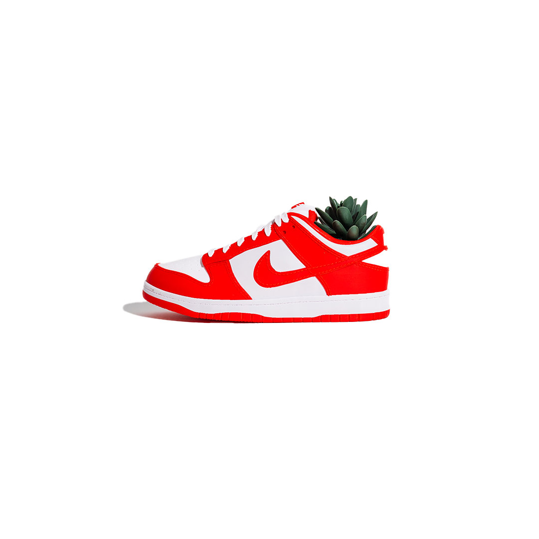 3D Printed Dunk Low Planter