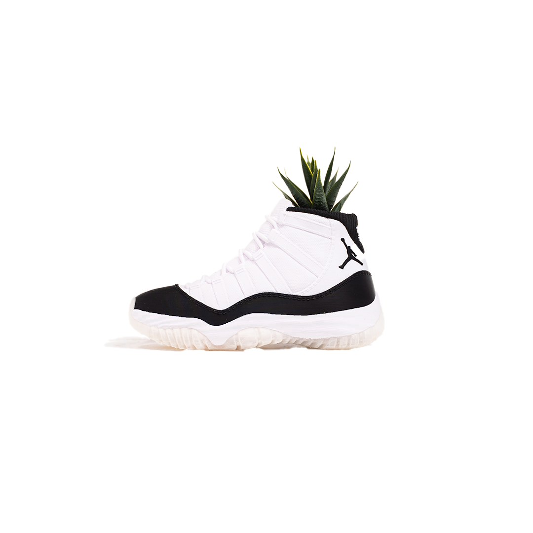 air jordan planter 3D Printed AJ11 Concord Planter
