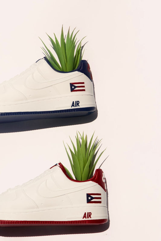 3D Printed AF1 Puerto Rico Planter