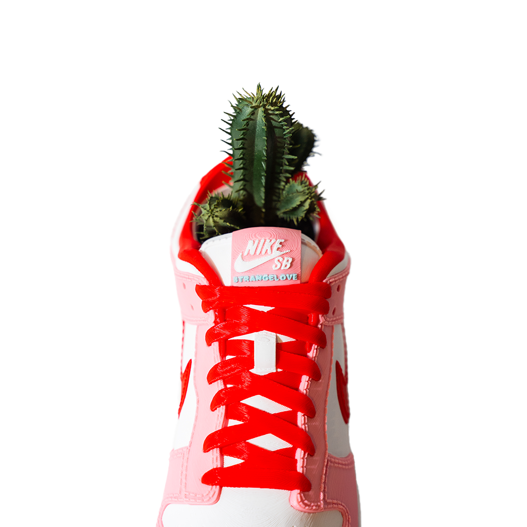 3D Printed Strange Love Dunk Planter