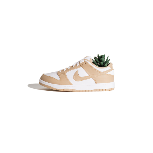 3D Printed Dunk Low Planter