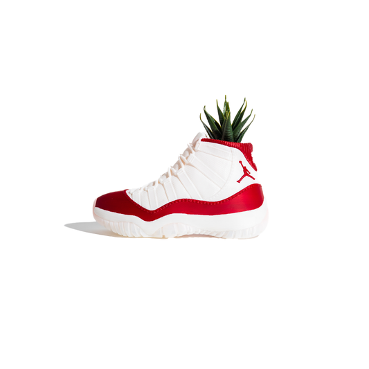 3D Printed AJ11 Cherry Planter