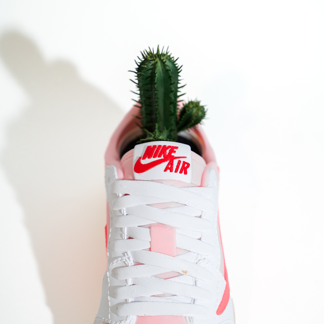 3D Printed AJ1 Travis Pink Pack Planter
