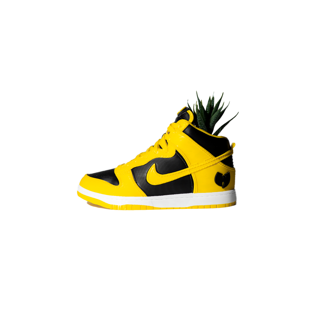 3D Printed Dunk High Wu-Tang Planter