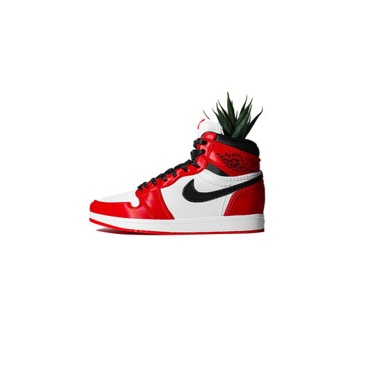 3D Printed AJ1 Chicago Planter