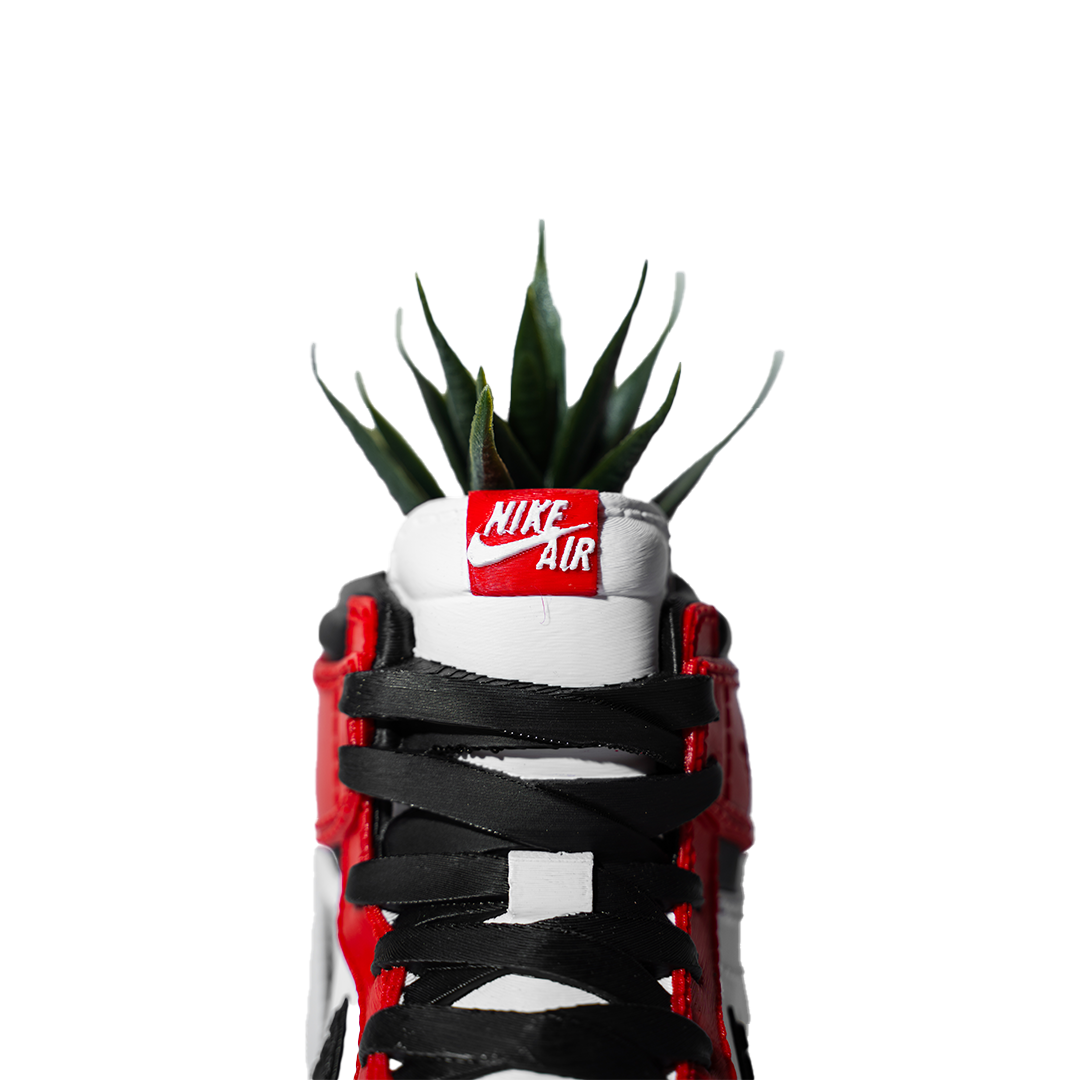 3D Printed AJ1 Chicago Planter