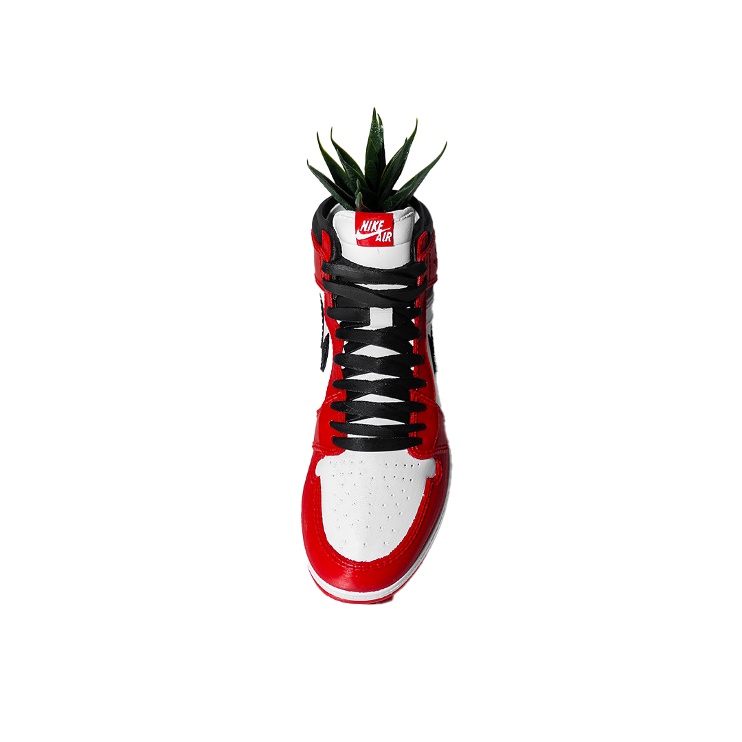 3D Printed AJ1 Chicago Planter