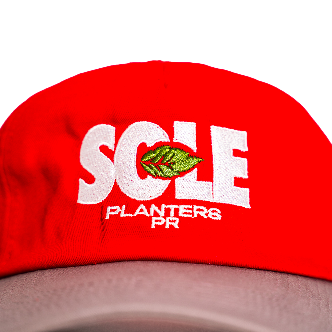 Sole Planters Red Strapback